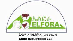 Elfora