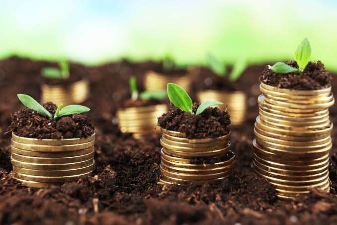 Financing the Farm